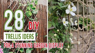 28 DIY Trellis Ideas for a Stunning Garden Display