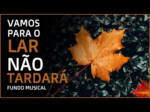 PIANO SUAVE  - NÃO TARDARÁ - FUNDO MUSICAL - Música para Orar, Pregar, Meditar e Adorar a Deus.