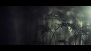 Hundreds - Beehive (Prelude)