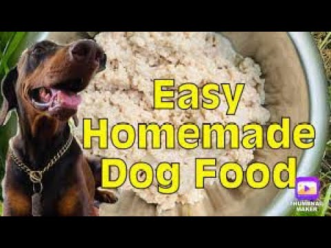 Crafting Canine Cuisine: A Comprehensive Guide to Homemade Dog Food