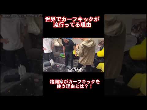 世界でカーフキックが流行ってる理由#shorts #朝倉未来 #ヒカル