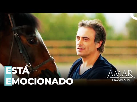 Pensamiento Matrimonial - Amar Una Vez Más Capitulo 33