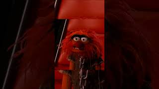 Bein&#39; Green - Kermit the Frog Ft  CeeLo Green The Voice 02