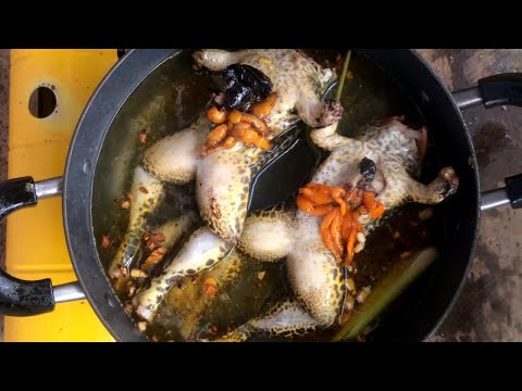 Delicious food cooking Frog Soup Recipe / Krak Frog