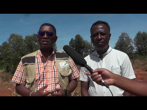 Asa fanarenana ireo  fefiloha vaky ao Alaotra