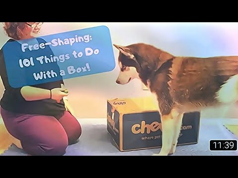 Free-Shaping: 101 Things to Do with a Box