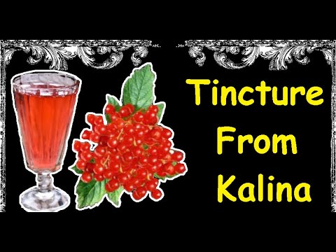 Tincture From Kalina / Book of recipes / Bon Appetit