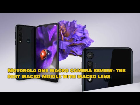 Motorola One Macro Camera Review. Is it Best Mobile For Macro Photography