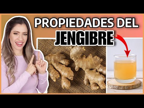 BENEFICIOS del JENGIBRE ✅ Propiedades, Para Qué Sirve | 1 Taza al día y mira lo que pasa | NatyGloss