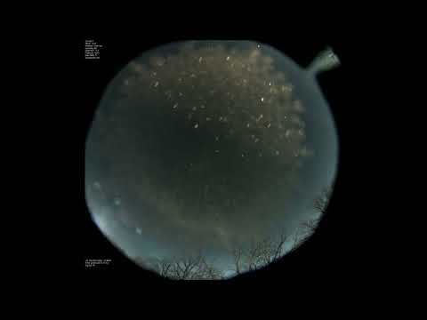 ZWO183MC AllSkeye Martinsburg WV 221228 -All Around (Young Remix) by Particle House, Young Community