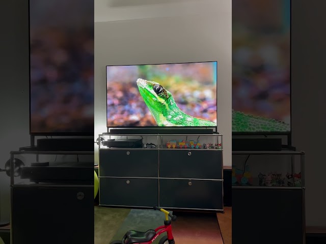 Video teaser for Sony BRAVIA 8 II Review | Yara testet Sony OLED TV