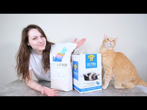 $25/Month vs. $5/Month Cat Litter: Is Pretty Litter Worth It?