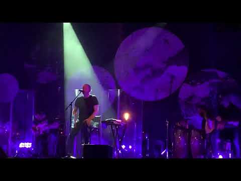 David Koller-Žádny city