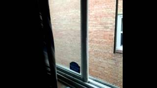 Theres a world out there...