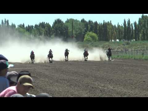 REINA AMIGA  Club Hipico "Cabo Alarcon" - Picun Leufu  -  15-01-2023