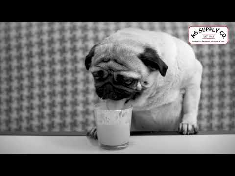 🐶 Dogs will be dogs! Exclusive Signature + Comfort Care dog food by Purina.