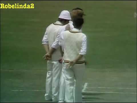 197475 ASHES 5th test ADELAIDE highlights 80 mins