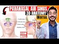 Paranasal air sinuses anatomy | Paranasal sinuses anatomy | maxillary sinus anatomy