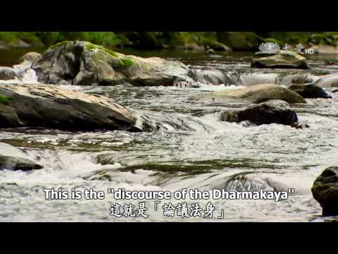 Wisdom at Dawn (Lotus Sutra) ep0960: Serving All Buddhas in the Causal Ground