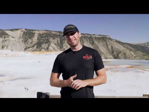 CoveredGround Tours Upper Loop of Yellowstone Preview!