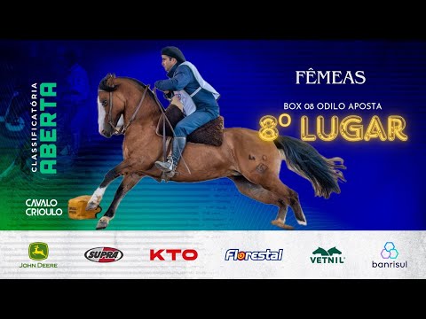 8ª FÊMEA - ODILO APOSTA - Classificatória Aberta(Esteio)