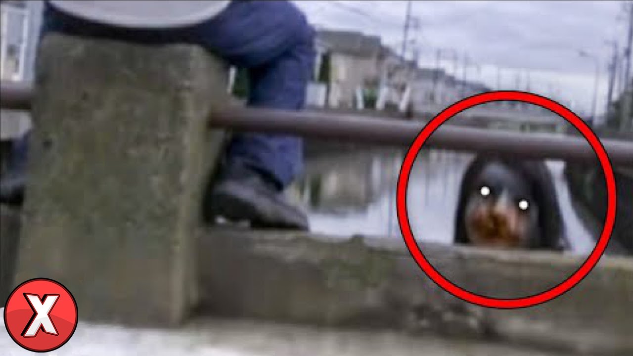 35 Fotos Mais Arrepiantes Que NÃO Podem ser Explicadas