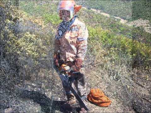 In memoria di mio padre