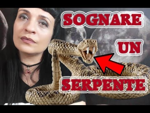 Targhe da vermi per cuccioli milbemaks I segni che i vermi hanno apparito