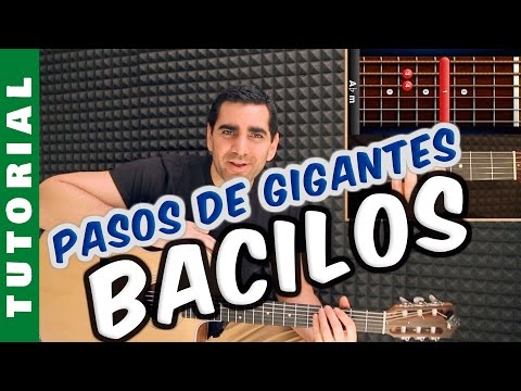 Pasos de Gigante - Bacilos
