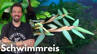 Miniatura filmu z YouTube