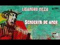 Lisandro Meza - Senderito de Amor (Cumbias Pa' Diciembre)