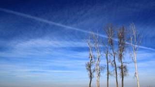 Janis Ian : Tea and Sympathy