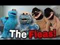 Baby Cookie Monster Adventures The Fleas