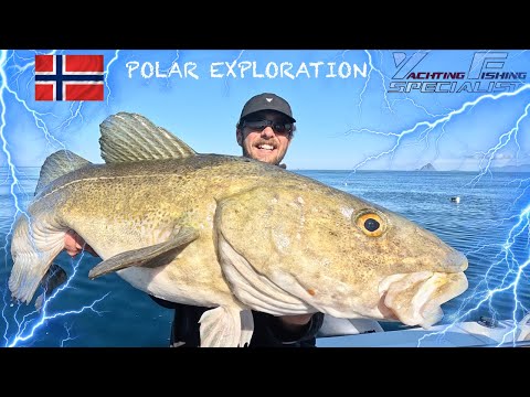 Fishing in Norway – Monster Cod & Halibut Caught in the Fjords! Catamaran fishing trip Norway by YFS