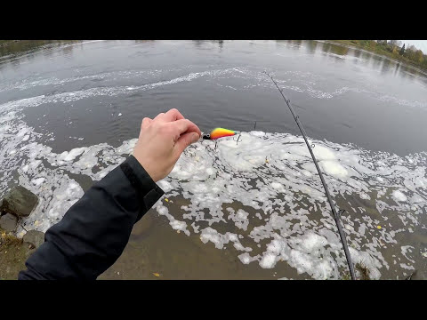 KALASTUS & Boden Öring - Taimenen Sössintä vol.2 (Boden Spinfluga med Wobbler - Luleälv Öring)