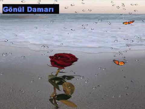 Halil KURT - kördüğüm