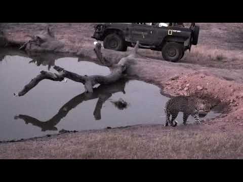 Djuma: Hosana - 17:44 - 08/17/18