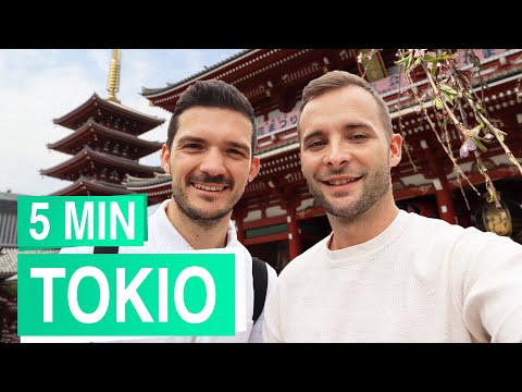 Tokio in 5 Minuten 🍙⛩️ alle Sehenswürdigkeiten in Tokio
