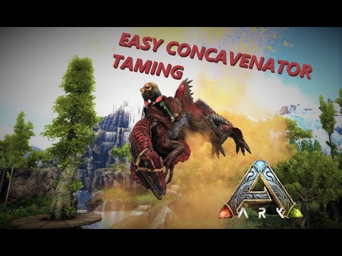 How to Tame a Concavenator Easily! Ark: Survival Evolved