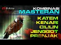 MASTERAN KAPAS TEMBAK KENARI CILILIN JENGGOT PRENJAK