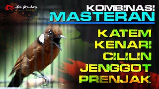Download lagu MASTERAN KAPAS TEMBAK _ KENARI _ CILILIN _ JENGGOT _ PRENJAK mp3