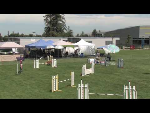 Trevor 20160611 STD Evergreen Valley College