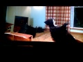 Scary Movie Matrix Scene