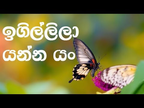 Igillila Yanna Yan karaoke (without voice) - ඉගිල්ලිලා යන්න යං