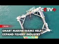 Smart Marine Farms Help Expand Fishery Industry