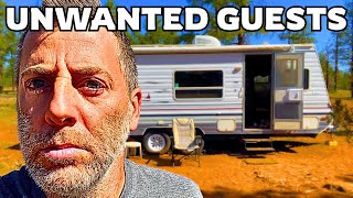 Live Mouse Traps in an RV? Here’s the Real Problem