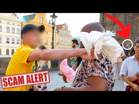 Prague's Worst Tourist Scams and Traps You Need to AVOID !