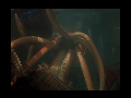 Reap the Wild Wind - Giant Squid