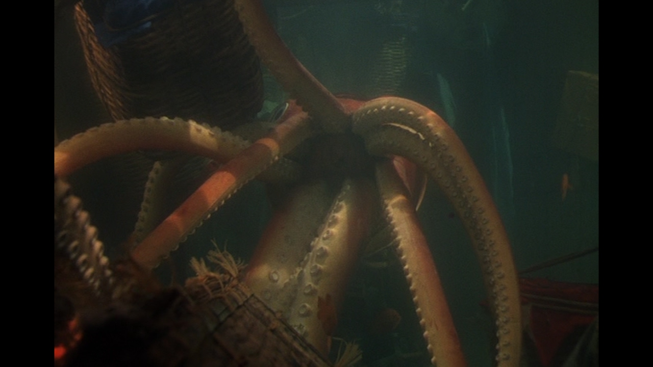 “Giant Squid”
