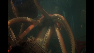 Reap the Wild Wind - Giant Squid
